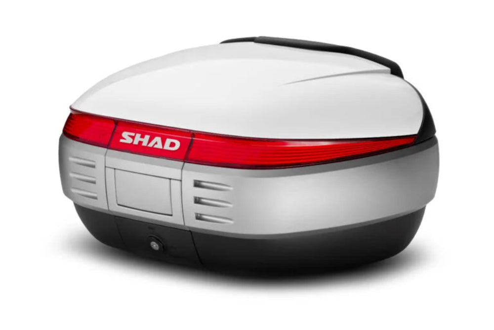 SHAD CONT.T.SH50 WHITE SHAD