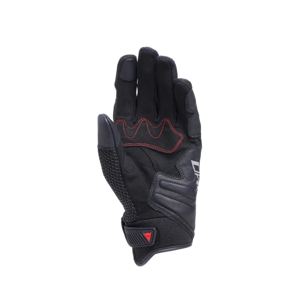 DAINESE - NAIB GOVE BACK  BACK